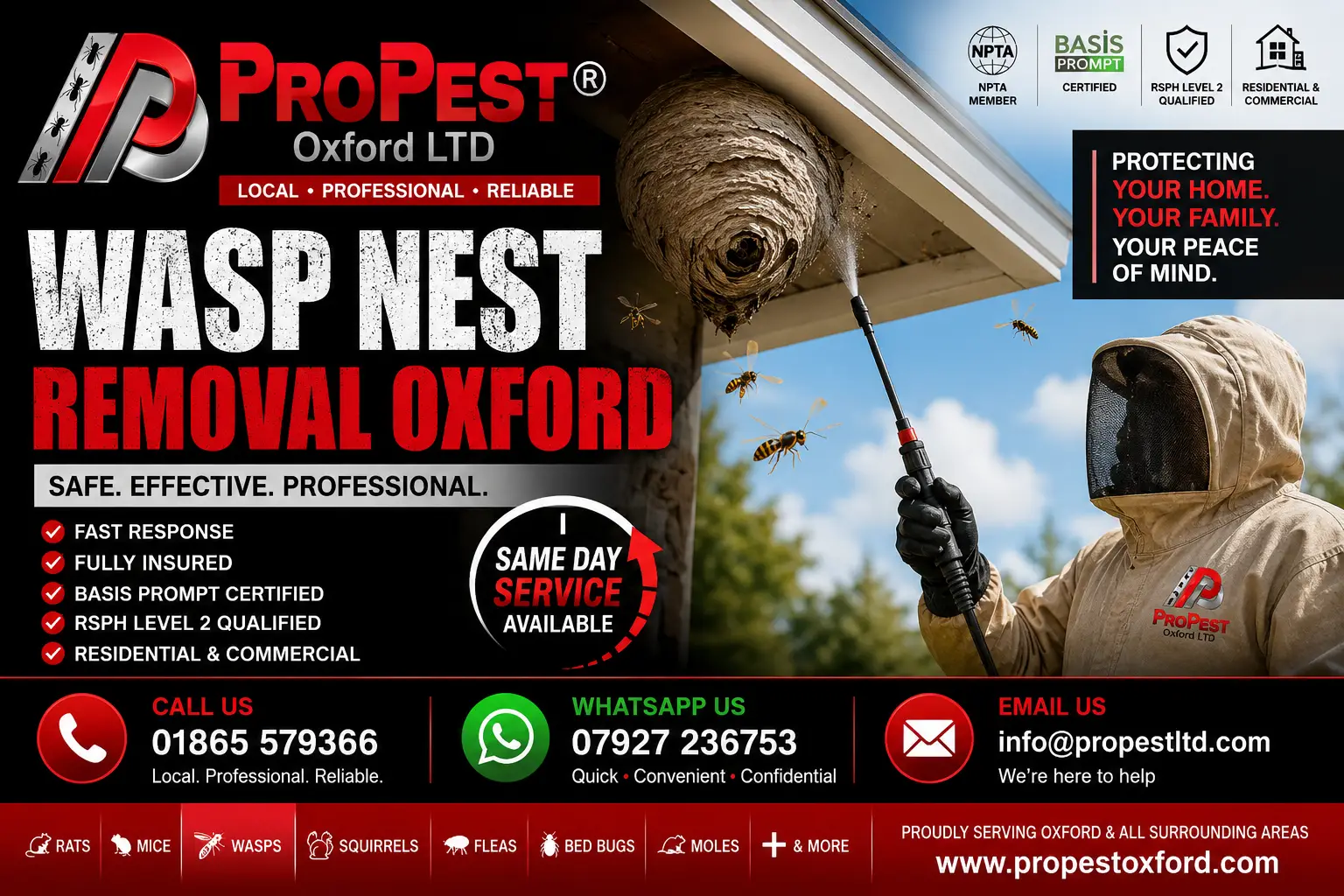 Professional wasp nest removal in Oxford by ProPest Oxford Ltd using safe, effective treatment for homes and businesses across Oxfordshire.